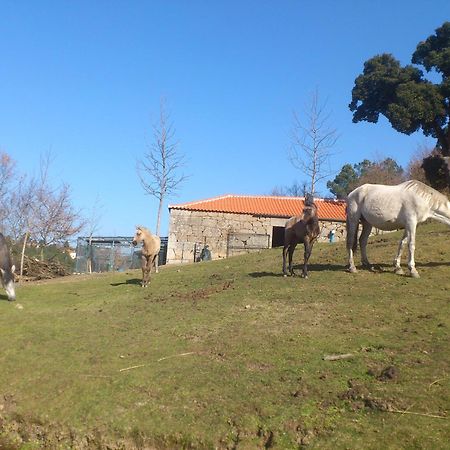 Quinta Da Mata - Turismo De Habitacao Vendégház Chaves Kültér fotó