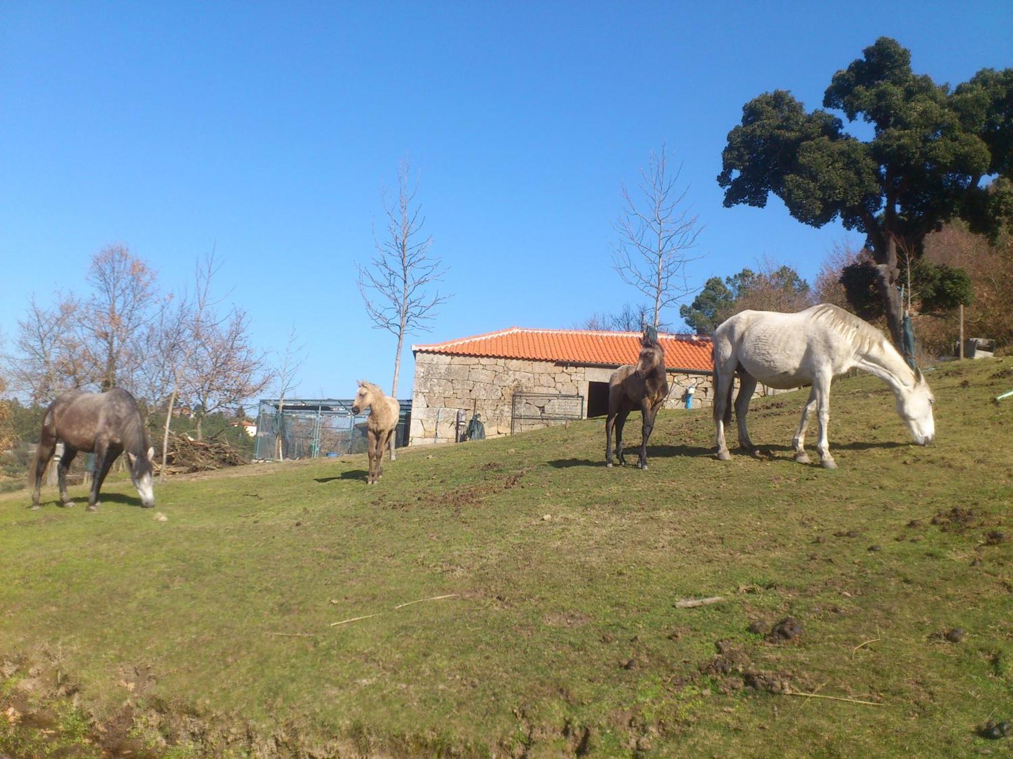 Quinta Da Mata - Turismo De Habitacao Vendégház Chaves Kültér fotó