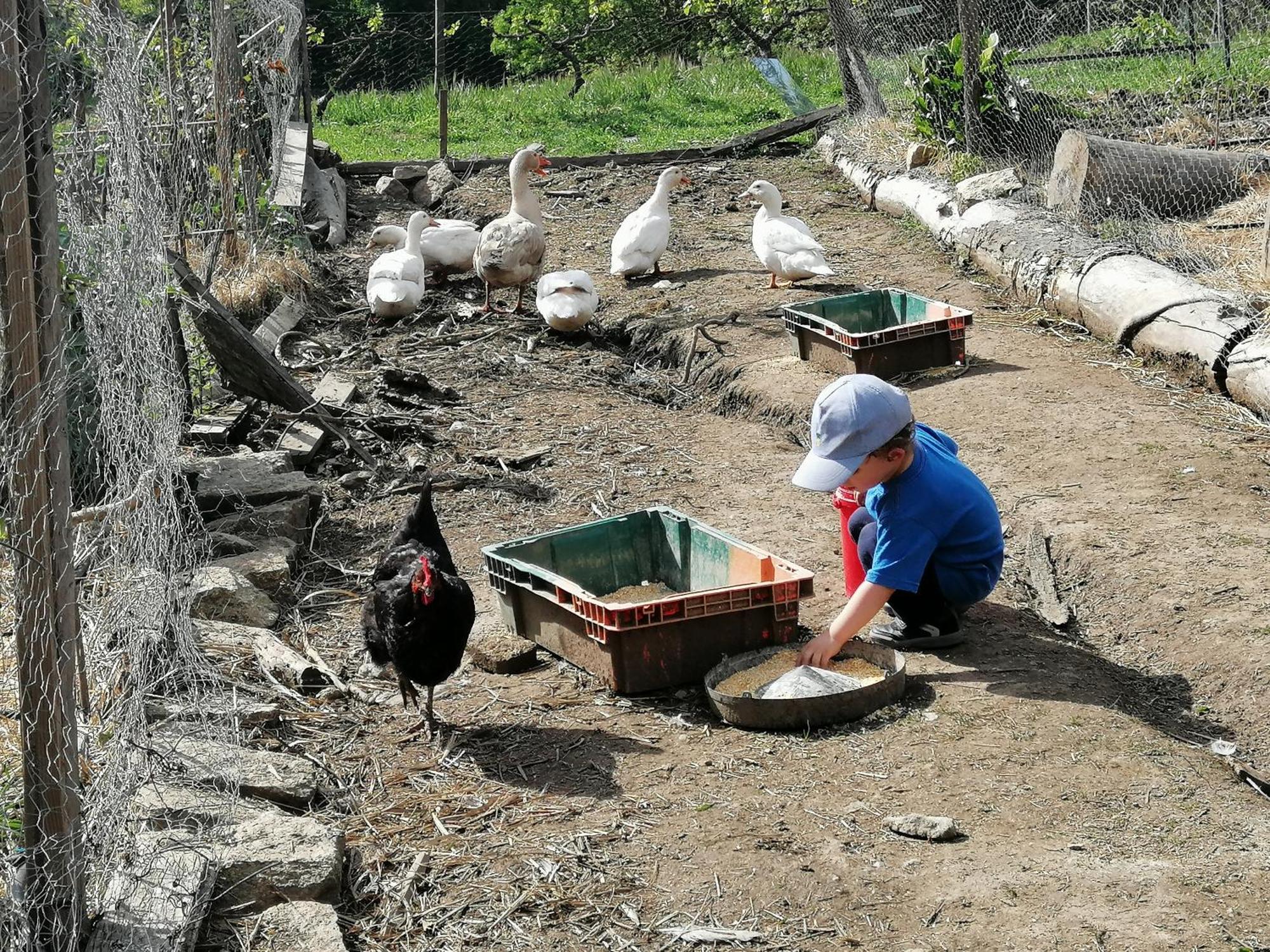 Quinta Da Mata - Turismo De Habitacao Vendégház Chaves Kültér fotó