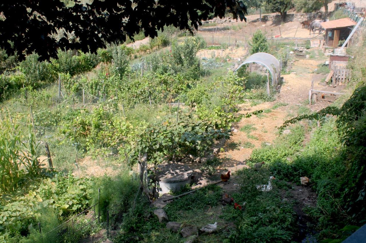 Quinta Da Mata - Turismo De Habitacao Vendégház Chaves Kültér fotó